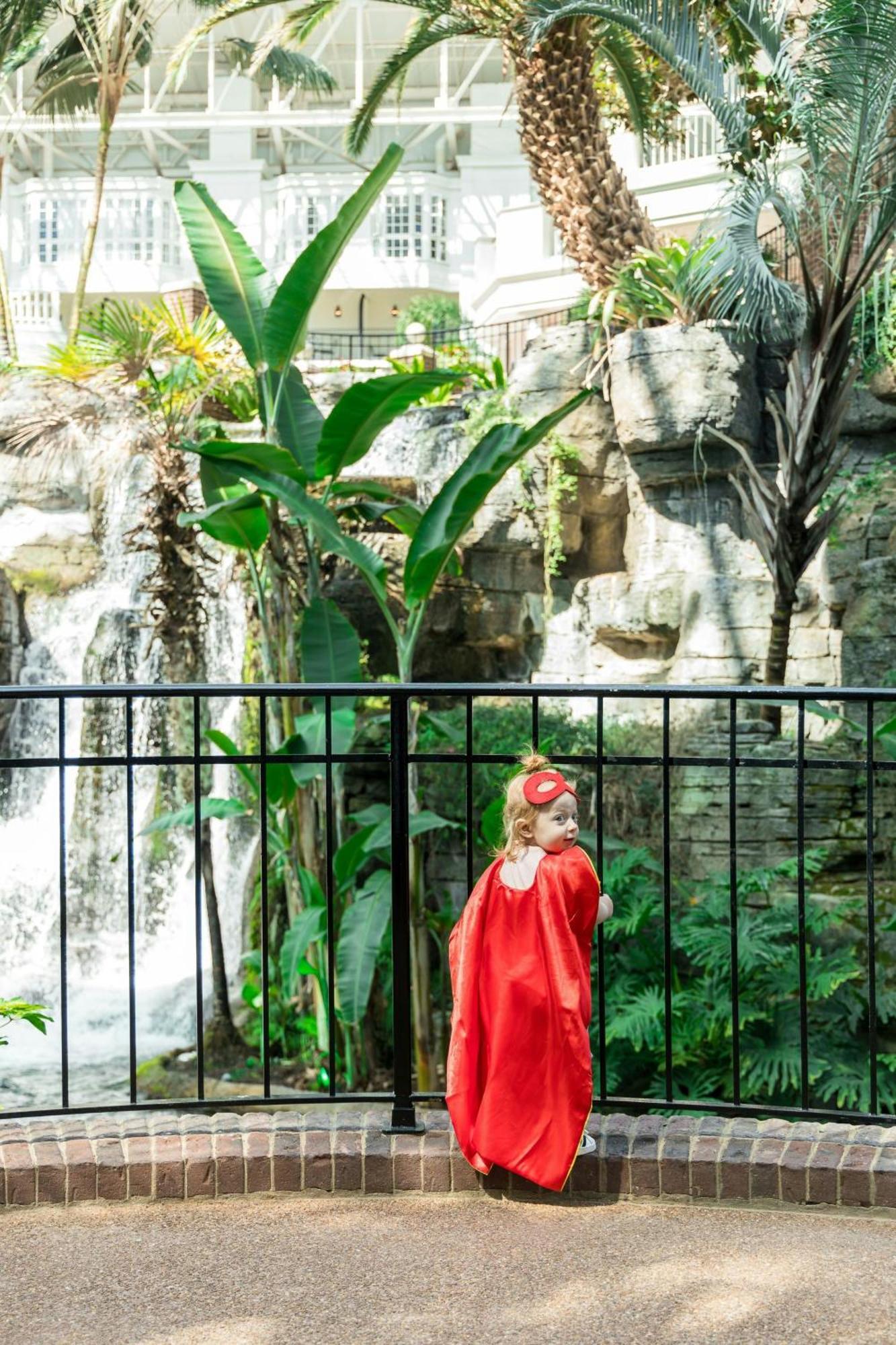 Gaylord Palms Resort & Convention Center Celebration Bagian luar foto