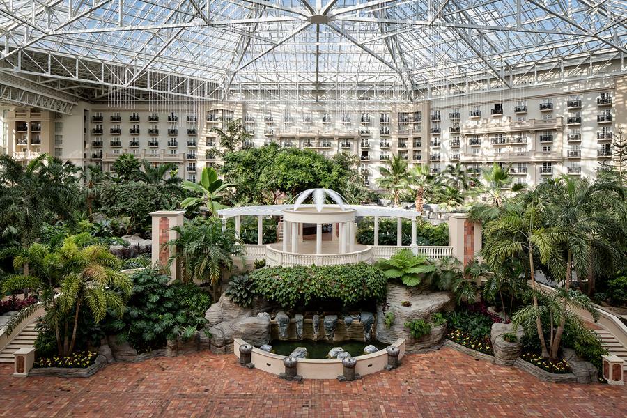 Gaylord Palms Resort & Convention Center Celebration Bagian luar foto